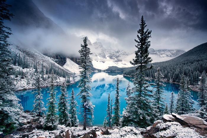 Morning Blues archival giclée print by Trevor Cole
