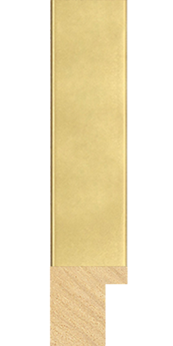 Classic profile in Gold
