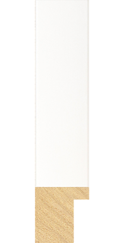 Classic profile in White