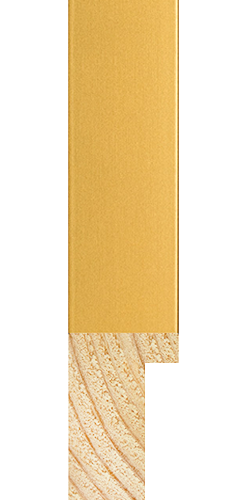 Deep Classic profile in Gold