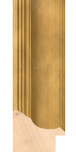 Swoop profile in Gold