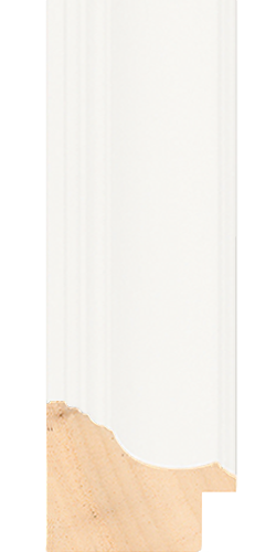 Swoop profile in White
